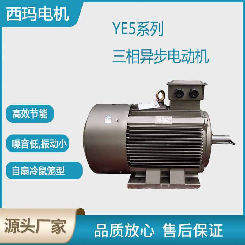 YE5系列超高效低壓三相異步電動(dòng)機(jī)-主圖設(shè)計(jì).jpg